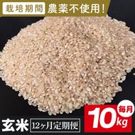 【2026年9月中旬発送開始】【12ヶ月定期便】★栽培期間農薬不使用★茨城県産 R８年産 こしひかり玄米 10kg（BI-106）