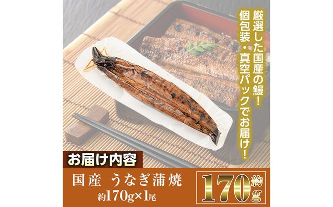 国産 うなぎ 蒲焼 (約170g×1尾) 鰻 タレ かば焼き うな重 うな丼 ひつまぶし 小分け 真空包装 真空パック 【丸正水産】【AW-89】