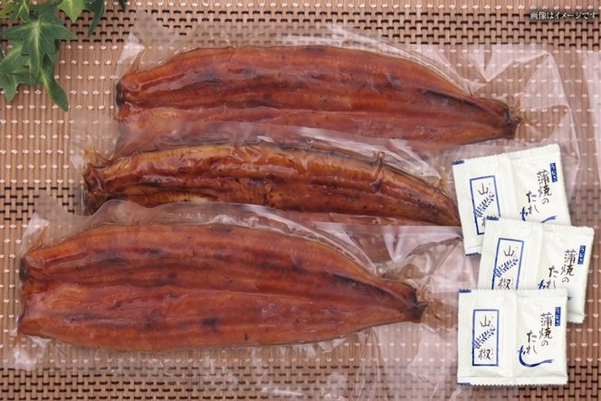 うなぎ うなぎ蒲焼 200g×3尾 タレ 山椒 セット [むらた商会 静岡県 吉田町 22424253] 鰻 ウナギ 蒲焼き たれ 惣菜 おかず 鰻重 うな丼 鰻丼 うなぎ料理 鰻料理 冷凍