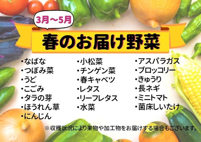 七宗町から発送　新鮮野菜詰めあわせセット(季節の野菜7～8種類) ※北海道・沖縄・離島への配送不可