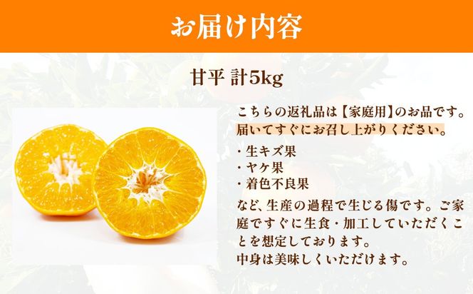 【先行予約】【数量限定】【家庭用】浅野農園の甘平（かんぺい）計5kg ※離島への配送不可（2027年2月中旬頃より順次発送予定）IKTAC027