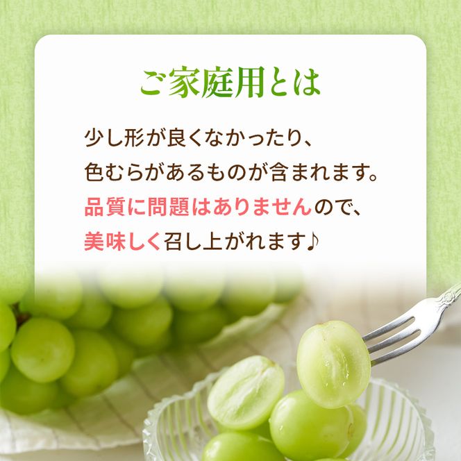 ぶどう 2026年 先行予約 ご家庭用 シャイン マスカット 晴王 3～6房 約2kg ブドウ 葡萄  岡山県産 国産 フルーツ 果物 太陽 美しい 外観 大粒 高糖度 種なし 皮ごと 弾力 食感 美味しい