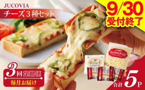 099Z183 【9/30受付終了】人気チーズ 定期便 3種セット×全3回 ムラカワチーズ【毎月配送 普段使い 高評価 ちーず】