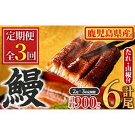 【0304303b】＜定期便・全3回＞東串良町のうなぎ蒲焼(無頭)(2尾・計約300g・タレ、山椒付×3回)うなぎ 高級 ウナギ 鰻 国産 蒲焼 蒲焼き たれ 鹿児島 ふるさと 人気【アクアおおすみ】