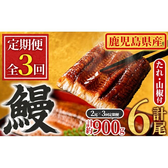 【0304303b】＜定期便・全3回＞東串良町のうなぎ蒲焼(無頭)(2尾・計約300g・タレ、山椒付×3回)うなぎ 高級 ウナギ 鰻 国産 蒲焼 蒲焼き たれ 鹿児島 ふるさと 人気【アクアおおすみ】