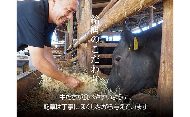 和牛 食べ比べ スライス 500g 京都もり牛 黒毛和牛 牛肉 赤身 霜降り すき焼き しゃぶしゃぶ 国産 おうち割烹 ごちそう ご褒美 南丹市 グルメ ギフト プレゼント 冷凍