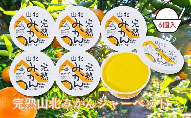 Made in 土佐★完熟山北みかんシャーベット6個（高知アイス）