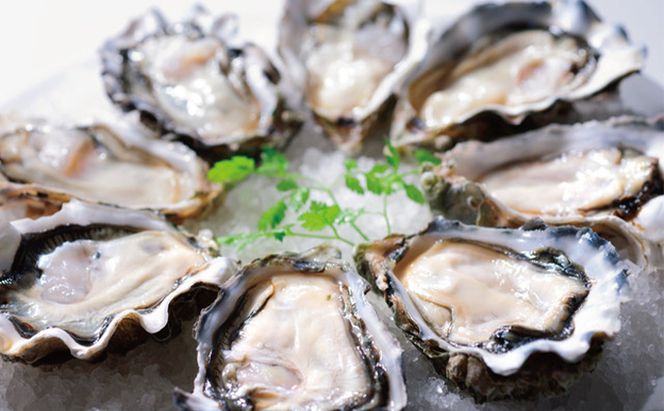 定期便 3ヶ月 北海道 厚岸産 牡蠣 3L 20個 と L 20個 ひと月あたり40個お届け (各回40個×3ヶ月分,合計120個) 殻付き 生食 かき カキ 生牡蠣 貝付き牡蠣 貝 海鮮 魚介類 マルえもん