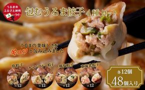 【ふるさと納税】包むうるま餃子 4種セット（島餃子・鶏塩餃子・チャンプルー餃子・車海老餃子）　 餃子　豚肉　ゴーヤー　車海老　沖縄　中華