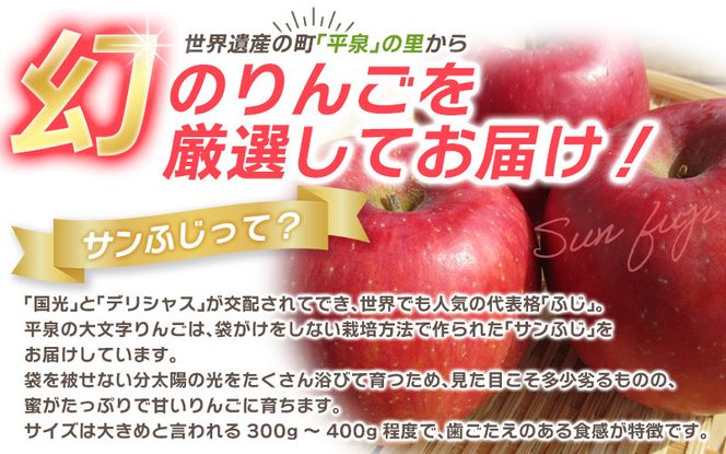 ≪12月末までの受付≫【2024年1月上旬より順次発送】大文字りんご園 サンふじ 小玉サイズ 約10kg (36～40玉) / 樹上完熟 りんご リンゴ 林檎 果物 くだもの フルーツ 甘い 旬 産地直送 予約 先行予約【dma513-sf-10】