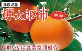 輝太郎柿 3キロ【鳥取いなば農業協同組合】 312011_CR004