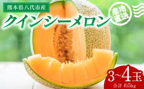 【先行予約】産地直送 クインシーメロン 3～4玉 約5kg クインシー メロン めろん 赤肉メロン 赤肉 果物 くだもの フルーツ デザート 贈り物 国産 熊本県 八代市【2026年5月下旬より順次発送】