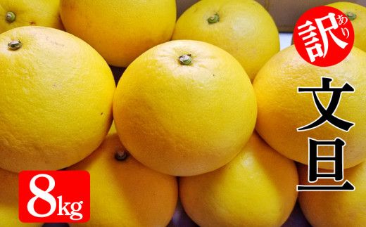 訳あり 文旦 8kg みかん 蜜柑 ぶんたん 柑橘 果物 フルーツ ゼリー ジュース アイス 国産 愛媛県 愛南町 発送:2月中旬～なくなり次第