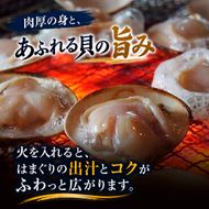 はまぐり 千葉 九十九里産 天然はまぐり 2.5kg 貝 海鮮 海産物 海の幸 魚介 魚介類 水産 水産物 はまぐり鍋 バーベキュー BBQ お吸い物 国産 天然 ハマグリ 蛤 絶品九十九里の”味” 産地直送 冷蔵 冷蔵配送 千葉県 九十九里 九十九里町