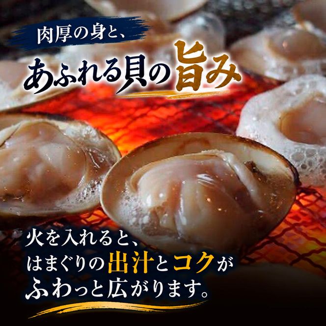 はまぐり 千葉 九十九里産 天然はまぐり 2.5kg 貝 海鮮 海産物 海の幸 魚介 魚介類 水産 水産物 はまぐり鍋 バーベキュー BBQ お吸い物 国産 天然 ハマグリ 蛤 絶品九十九里の”味” 産地直送 冷蔵 冷蔵配送 千葉県 九十九里 九十九里町
