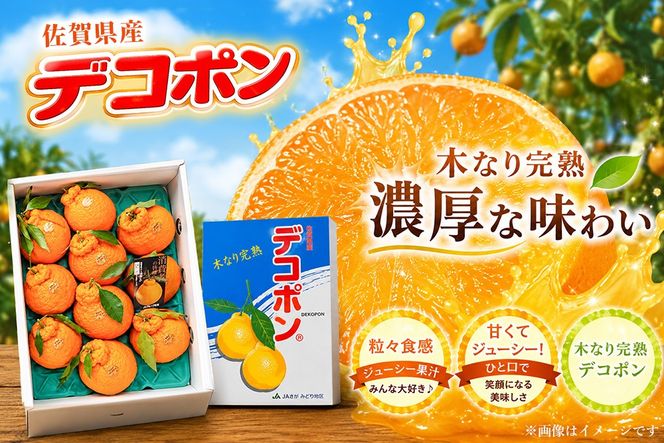 【2027年3月中旬より発送開始】【木なり完熟】デコポン 3kg 150ケース限定【みかん 柑橘 清美 ポンカン フルーツ デザート】(H116148)