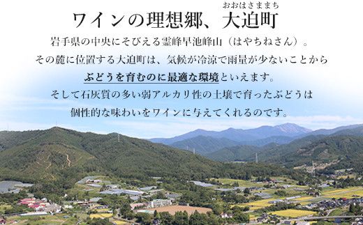 エーデルワイン 甘口おためし7本セット 【1337】