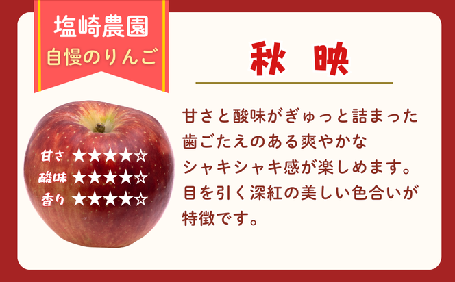 【先行予約丨2026年10月上旬より順次発送】秋映【約5kg (11〜20玉)】(At-009)丨長野県 飯山市 おすすめ ランキング おいしい 高評価 大人気 先取り 産地直送 りんご 秋映