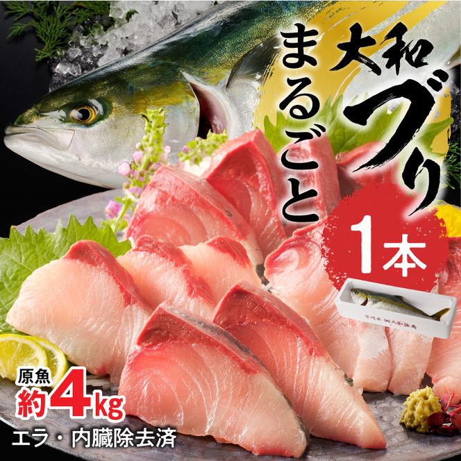 y{茧szy10`2!!z܂邲ƈ{IauςݎhgԂ肵Ԏϕ N072-YC131