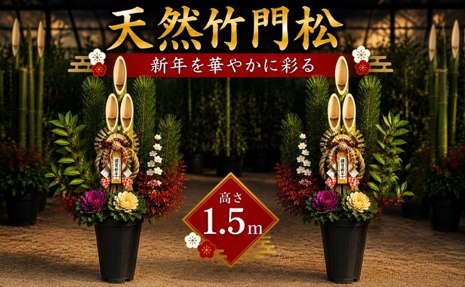 門松 天然竹 1対(2個) 高さ:150cm 正月飾り