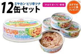 缶詰 ピリ辛ツナ 75g ×12缶 [ミヤカン 宮城県 気仙沼市 20565673] ツナ缶 ツナフレーク キハダマグロ ピリ辛 小分け 常備 ストック 長期保存