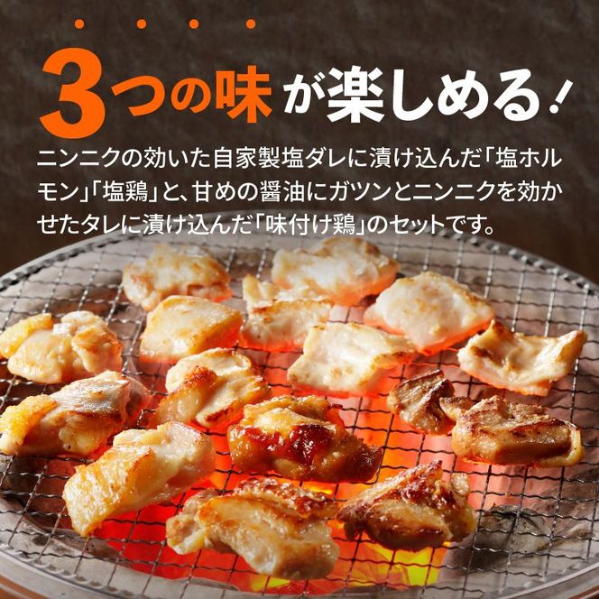中尾商店の焼肉セット N001-YZA153