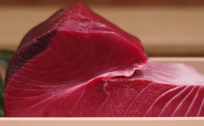 鮨　飛躍　旬の食材を使用したこだわり江戸前ディナーコース　チケット お食事券 寿司 握り 大とろ 穴子 ムラサキウニ 石鯛 赤貝 コース 旬の鮮魚 豊洲市場 墨田区 東京