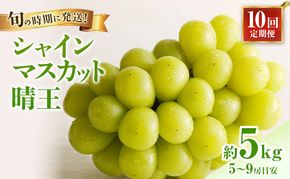 【2026年先行受付】 シャインマスカット 晴王 10回 定期便 秀品 大房 岡山県産 ぶどう ギフト 御礼 プレゼント 御礼 御祝 御供 果物 くだもの フルーツ