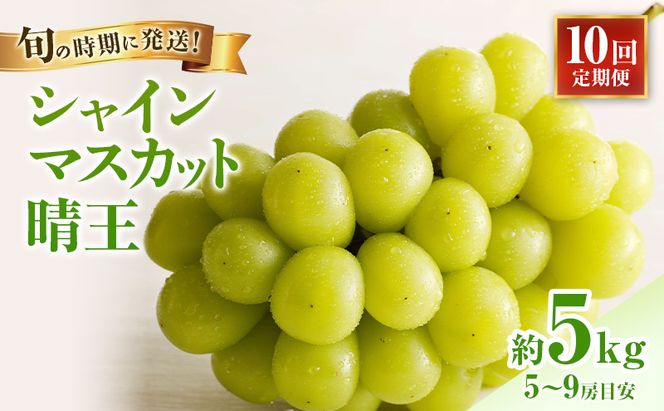 【2026年先行受付】 シャインマスカット 晴王 10回 定期便 秀品 大房 岡山県産 ぶどう ギフト 御礼 プレゼント 御礼 御祝 御供 果物 くだもの フルーツ
