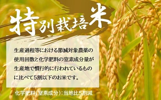 コシヒカリ＜特別栽培米＞精米 10㎏（減農薬 有機肥料 お米 米 おこめ こめ 白米 こしひかり 令和8年産）【002308D】