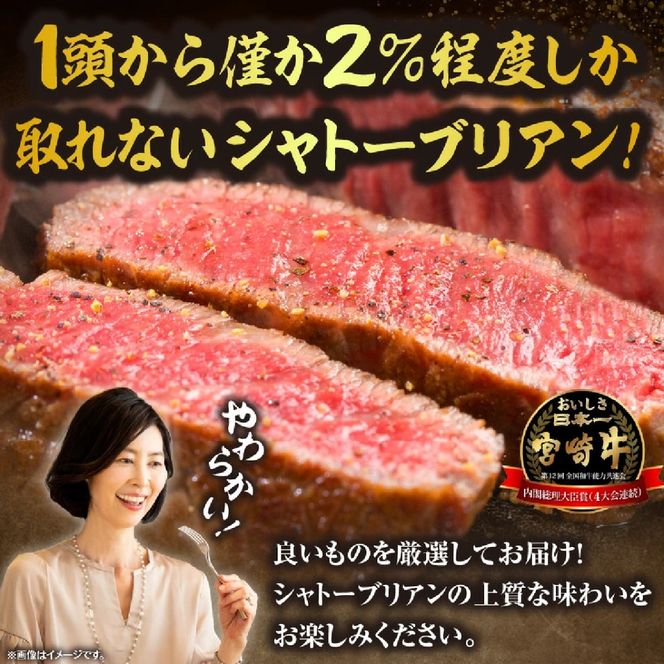 【数量限定】宮崎牛シャトーブリアン塊 500g　（宮崎牛 黒毛和牛 和牛 シャトーブリアン ）