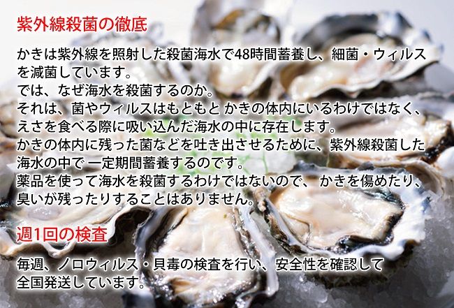 カキ 生食用 北海道 厚岸産 殻かき 新ブランド弁天かき A3サイズ  10個 牡蠣 魚貝類 生牡蠣 殻付き牡蠣 カキ