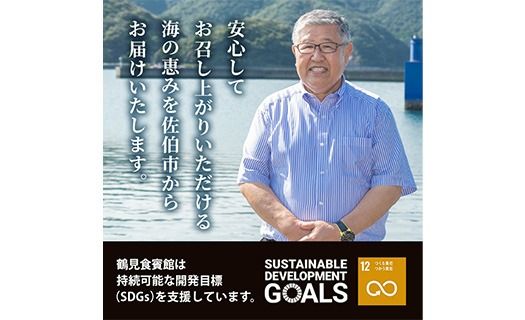 ＜訳あり＞ 厳選 干物 お試し版 (総量10枚) 簡単 調理 干物 あじ かます さば ぶり ぶりかま 開き 魚 海鮮 冷凍 詰め合わせ 大分県 佐伯市 やまろ渡邉【DL33】【鶴見食賓館】