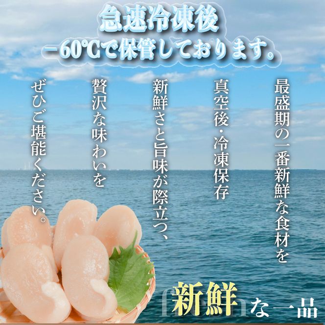 訳あり 平貝 （タイラギ） 4個入り(240～280g) 3パック 冷凍 海鮮  海産物 魚介 ごはん おかず おつまみ お酒 お供 おすすめ 人気 愛知県 南知多町