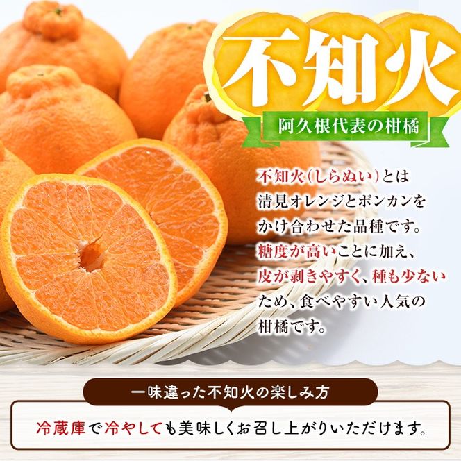 鹿児島県阿久根市産！特別選定 柑橘セット(ボンタン3個・不知火3kg) 国産 果物 フルーツ かんきつ ノーワックス【松永青果】akn053-26