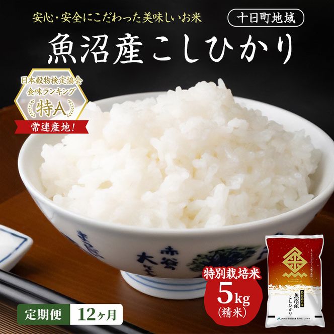 【12ヶ月定期便】特別栽培米 魚沼産こしひかり(十日町地域) 精米 5kg 米 お米 コシヒカリ 定期 十日町市