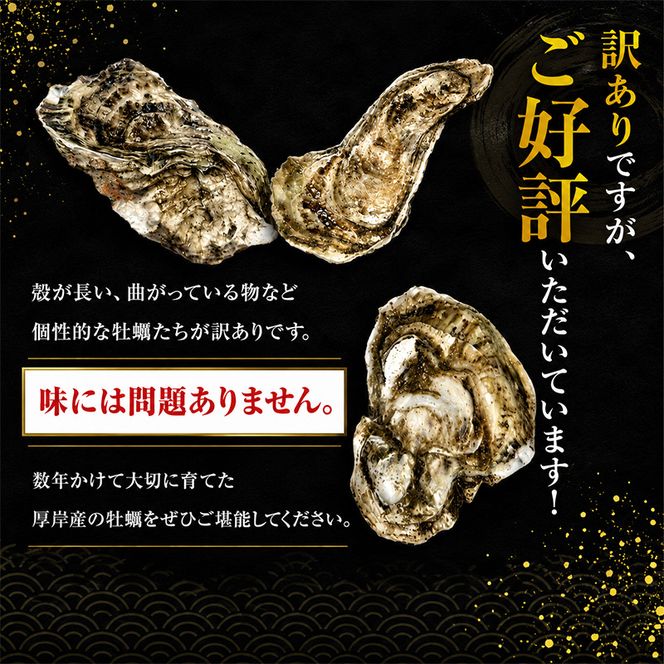2月配送 訳あり ハーフ 規格外 牡蠣 北海道厚岸産 殻付カキ 約2kg（11～25個）カキナイフ付 生食 魚貝類 生牡蠣 かき 生カキ カキフライ マルえもん いびつな形 四季によって違う味わい コクがあり濃厚