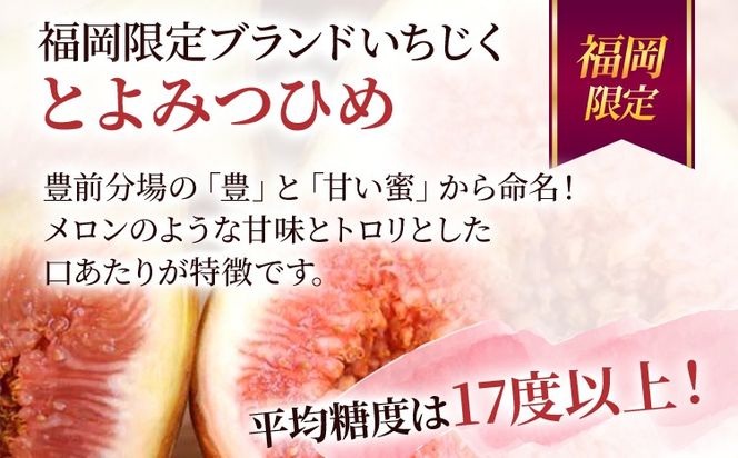 いちじく 博多とよみつひめ 300g×4パック いちじく イチジク 無花果 計1.2kg 福岡限定 フルーツ 果物 とよみつひめ 九州 福岡 ジューシー 糖度が高い スムージー フレッシュ 福岡県産【2026年7月下旬以降順次発送予定】