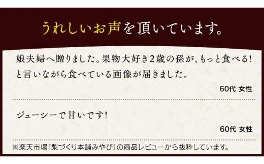 これぞ甘熟 『 幸水 』 5kg ( 自家用 ) 2026年産 先行予約 フルーツ 果物 国産 日本産 梨 ナシ なし 和梨 [DJ001ci]