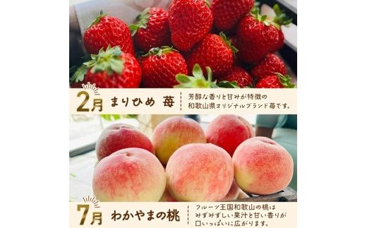 わかやま 旬の フルーツ 定期便【S】 全4回 / 有田みかん まりひめ いちご 桃 柿 ※北海道・沖縄・離島への配送不可【ard-tkb910】