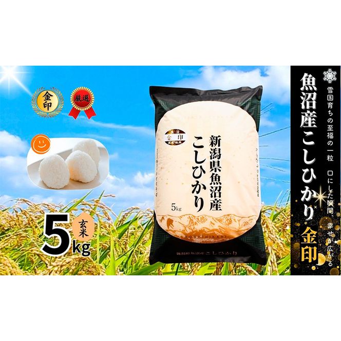 【令和7年産】魚沼産コシヒカリ金印(玄米)5kg 米 お米 こしひかり 玄米 中魚沼 新潟県 十日町市
