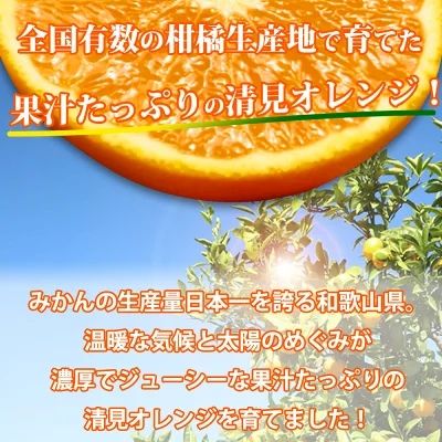 G7328_【2027年先行予約】とにかくジューシー 清見 オレンジ 2.5kg フルーツ 果物 柑橘 果実 甘い 果汁 ジューシー コク 柑橘の親 国産 食品 食べ物 魚鶴商店 平成の三大柑橘 お取り寄せ 和歌山県 湯浅町 送料無料