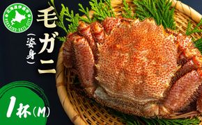 毛ガニ（姿身）Mサイズ 1尾 ogm-015