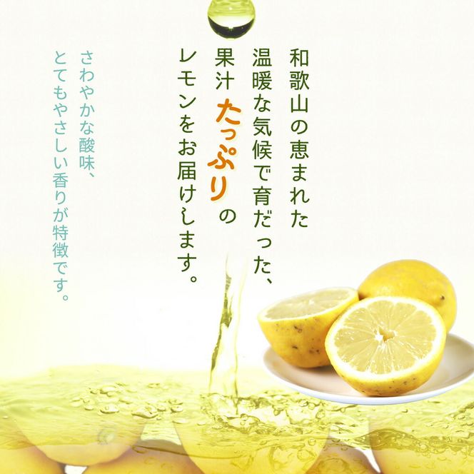 G7069_【2027年先行予約】【ご家庭用 訳あり】紀州有田産レモン 2.5kg