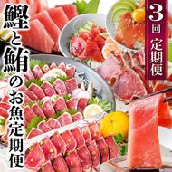 定期便3回配送　鰹とまぐろのお魚定期便　QQ-0005 【1543247】