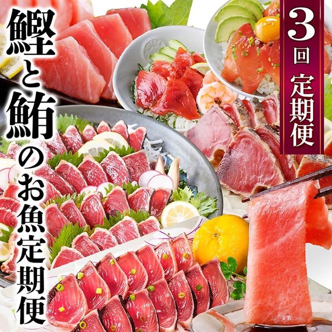 定期便3回配送　鰹とまぐろのお魚定期便　QQ-0005 【1543247】