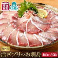 【日向灘どれ】延岡産活〆ブリのお刺身　400g～550g　N019-YZA044　請関水産