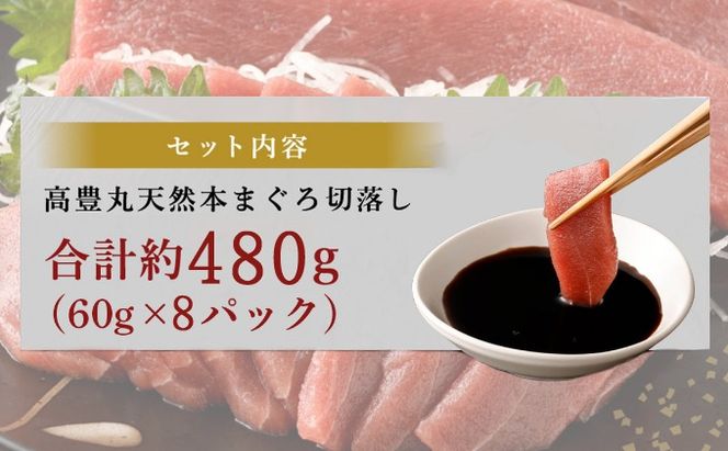  天然本まぐろ  赤身 切落し 【ちょこっとパック】480g（60g×8パック） 天然まぐろ 切り落とし 本マグロ まぐろ マグロ 鮪 お手軽 食べきりサイズ 切り落とし お刺身 魚介類 海鮮 小分け 魚 魚貝 高知 簡単 調理 惣菜 冷凍 室戸 mgr tk100!