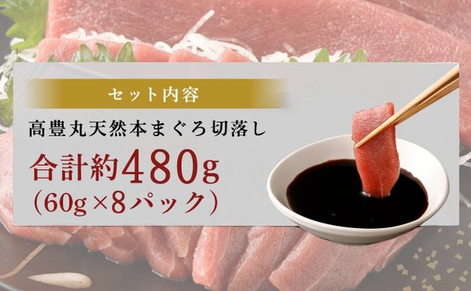 《 天然本まぐろ 》 赤身 切落し 【ちょこっとパック】480g（60g×8パック） 天然まぐろ 本マグロ まぐろ マグロ 鮪 お手軽 食べきりサイズ 切り落とし お刺身 魚介類 海鮮 小分け 魚 魚貝 高知 簡単 調理 惣菜 冷凍 室戸の本マグロ tk100