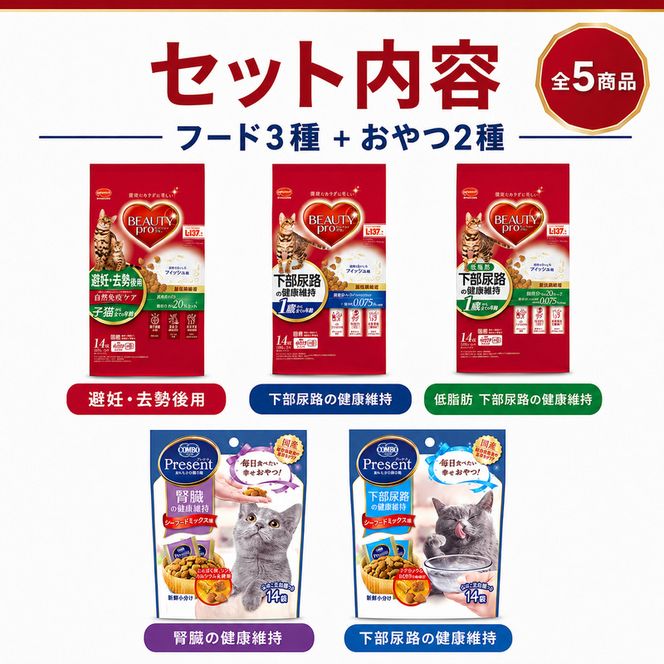 日本ペットフード ビューティプロ機能性＆おやつセット キャットフード
